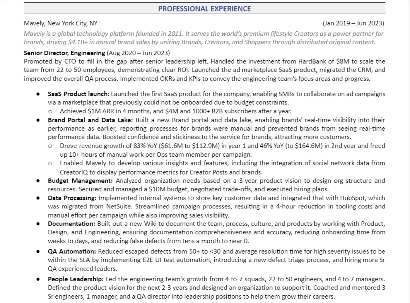 Professional Experience Example